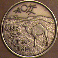 Camel - Completely Dry Medallion